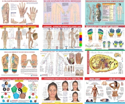 Buy Online  Acupressure | Acupuncture | Alternative Therapy Products and Instruments Products & Healthcare Products
